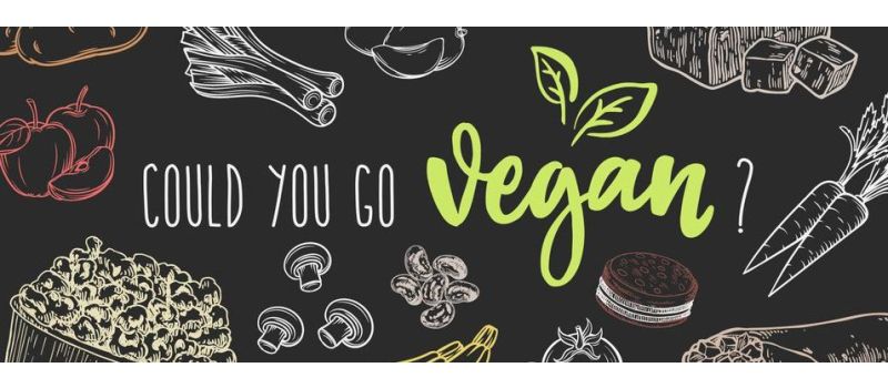 Vegan Diets & Scottish Recycling - May 2018 Recycling News